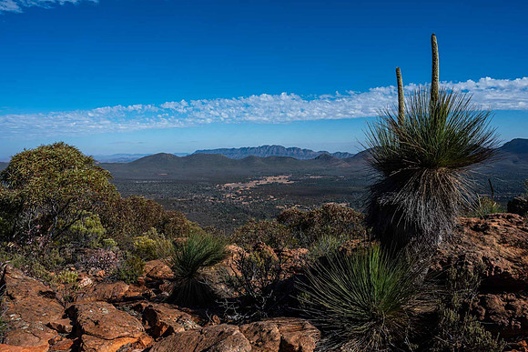 looking across Wilpena Pound to the Elder Range from Mt Ohlssen-Bagge