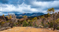 Flinders Ranges, near Wilpena