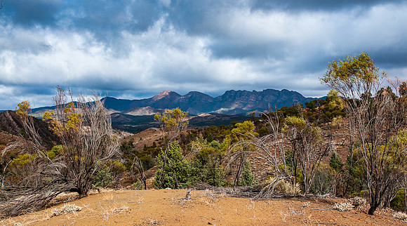 Flinders Ranges, near Wilpena