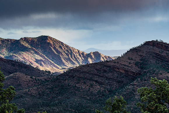 view toward Brachina gorge