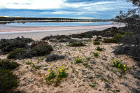 Lake Kenyon (Pink Lakes)