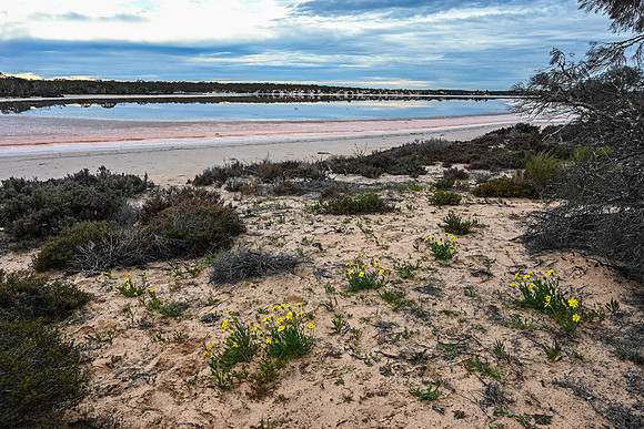 Lake Kenyon (Pink Lakes)