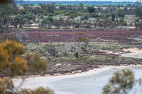campsite at Lake Crosbie