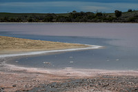Lake Hardy
