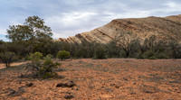 along the Wortupa Loop Track in Vulkathunha_Gammon Ranges Nat Park