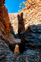 Mt McKinlay  springs