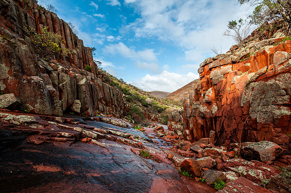 The Organ Pipes