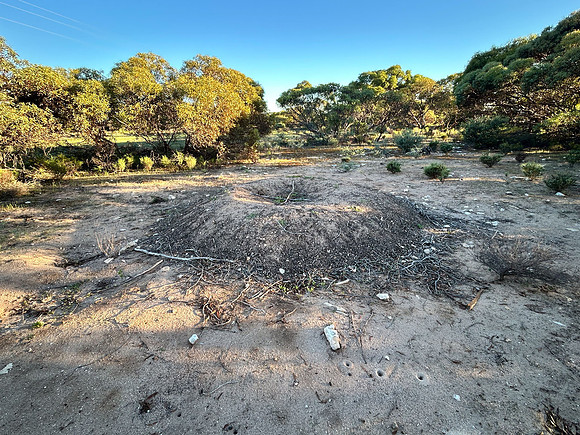 large mound near camp