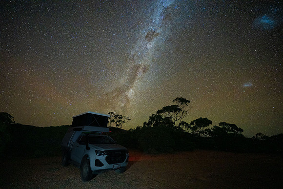 Dark Emu over my campsite