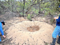 Dakalanta Volunteering , Gawler Ranges,Lake Gilles April 2026