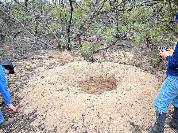 first mound found during my stay
