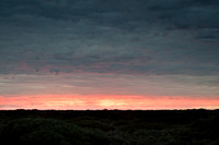 on the Nullabor