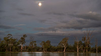 Pelicans  and River Murray in late evening (and moon ) light.