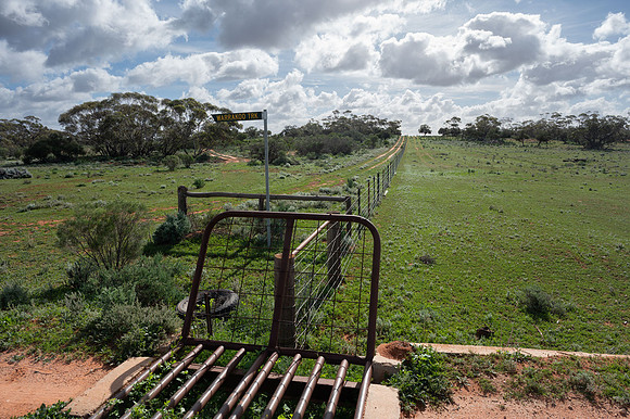 looking up the NSW/SA border