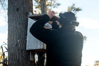 returning to its nesting box
