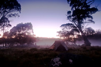 misty morning