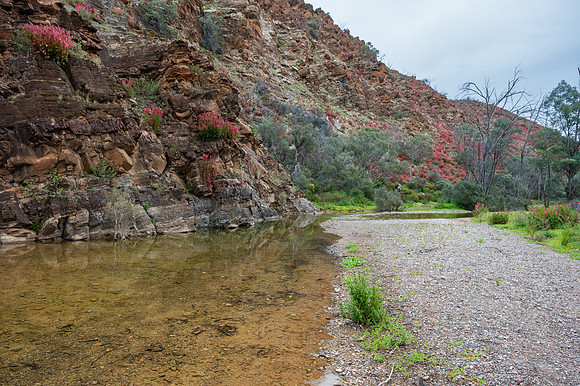 this has become my go to campsite up here but never seen water here before