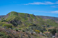 never seen these always beautiful sculptured hills near Blinman this colour before !