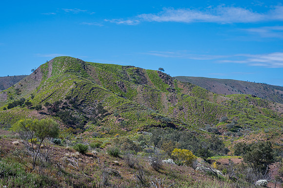 never seen these always beautiful sculptured hills near Blinman this colour before !
