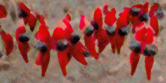 Sturt Pea Impression