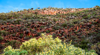 The Organ Pipes