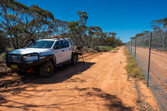 the fence that enables it all to work
