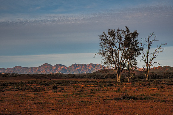 view south from Trezona campground