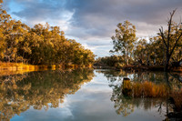 River Murray National Park, June 2020