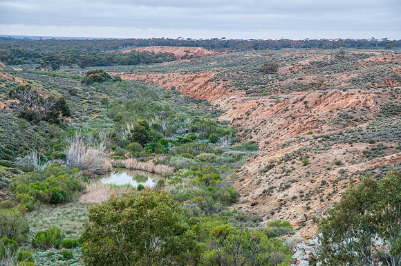 views on the loop walk (8 pics)