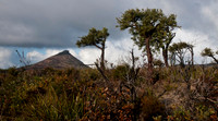 Cape Le Grand National Park