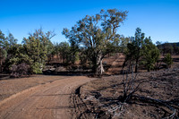 along the Mawson Trail