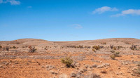 next 7 pics taken on a drive to the southern part of the lands