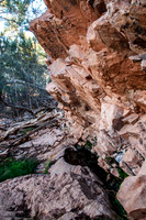 "Chinamans Well" a permanant water supply created by a Chinese shepherd years ago. He simply built a little dam wall under a seepage spot in the cliff face.