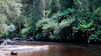 Styx River