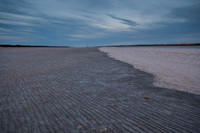 The Coorong