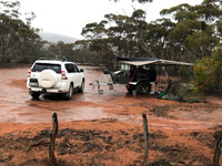 wet morning at Scrubby Peak campground