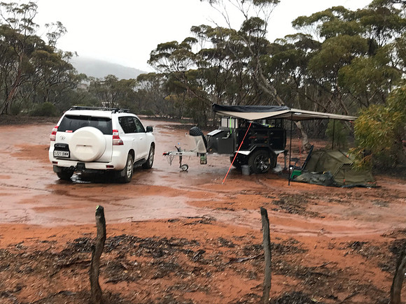 wet morning at Scrubby Peak campground