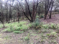 Photo point 2