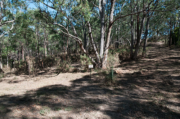 Photo point2