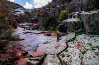 The Organ Pipes
