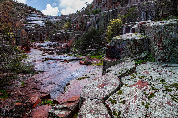 The Organ Pipes