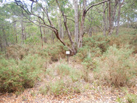 Photo point 2
