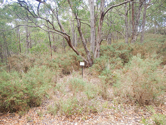 Photo point 2