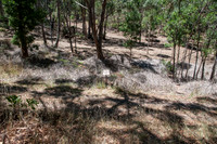 Photo point 1