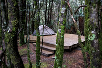 campsite night 2