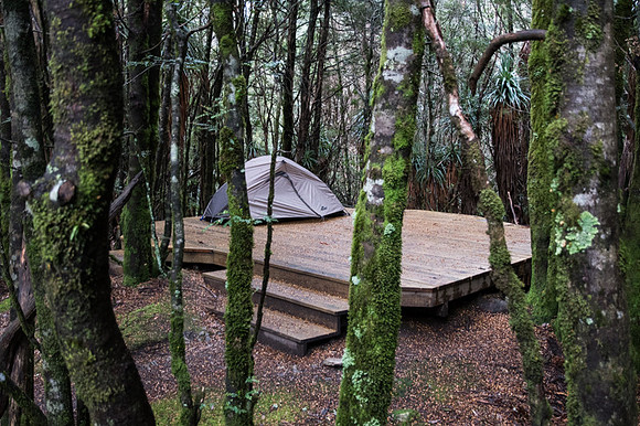 campsite night 2