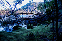 Along the boardwalk at Corinna
