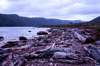 Pieman heads on the wild Tarkine coast, amazing amount of timber washed up on the beach over the years from fallen trees brought down to the coast by the river