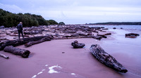 the several times I've visited this coastline over the years its always been blowing a gale !