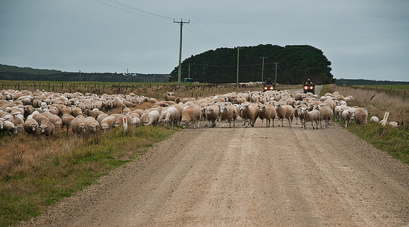 Woolnorth